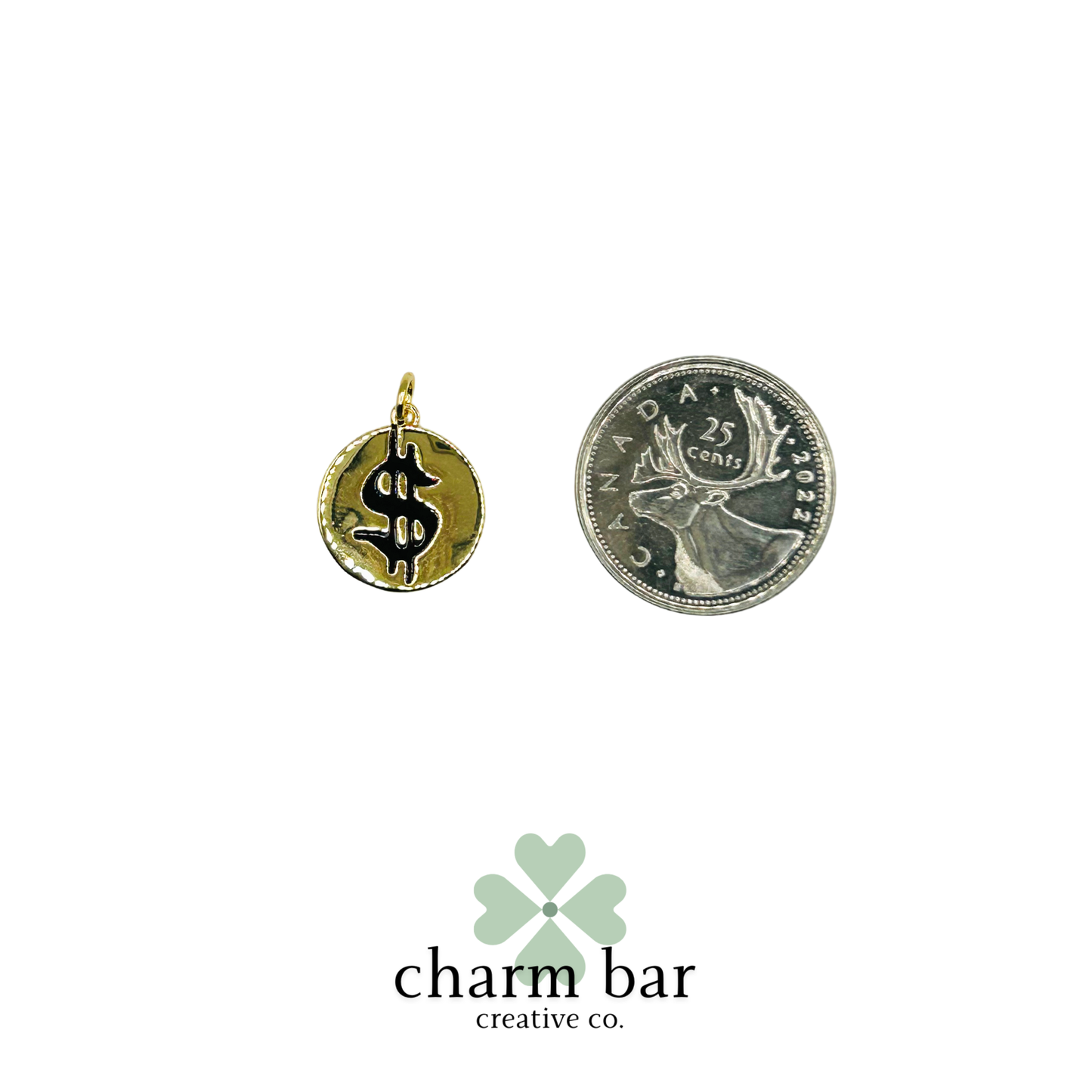 the Charms: Money Symbol Medallion