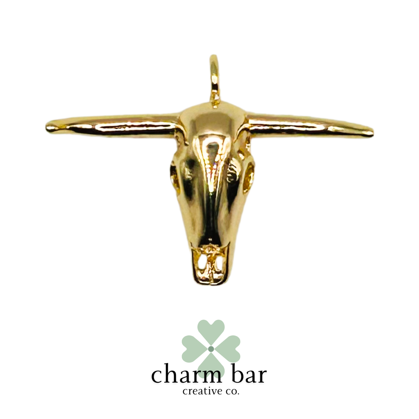 the Charms: 3D Longhorn Skull