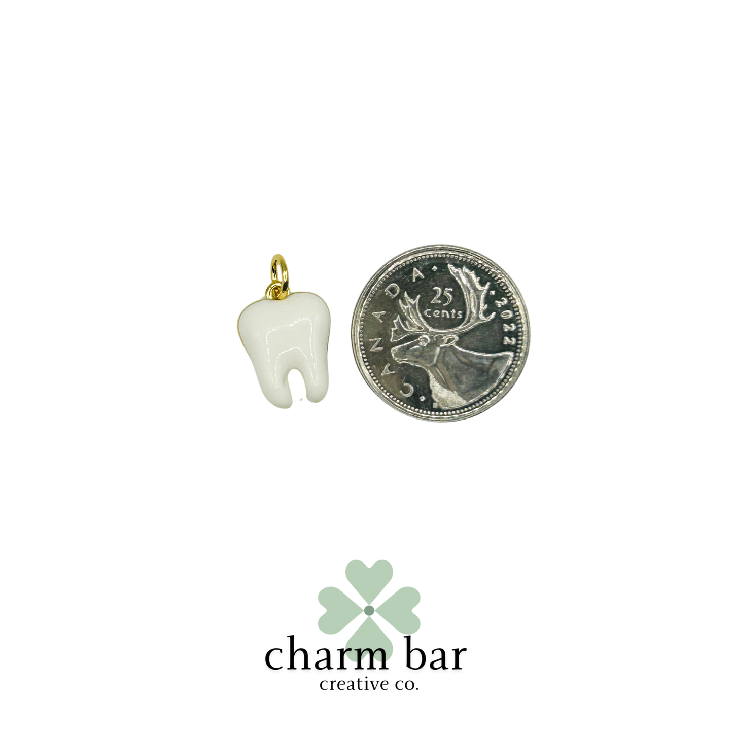 the Charms: White Enamel Tooth