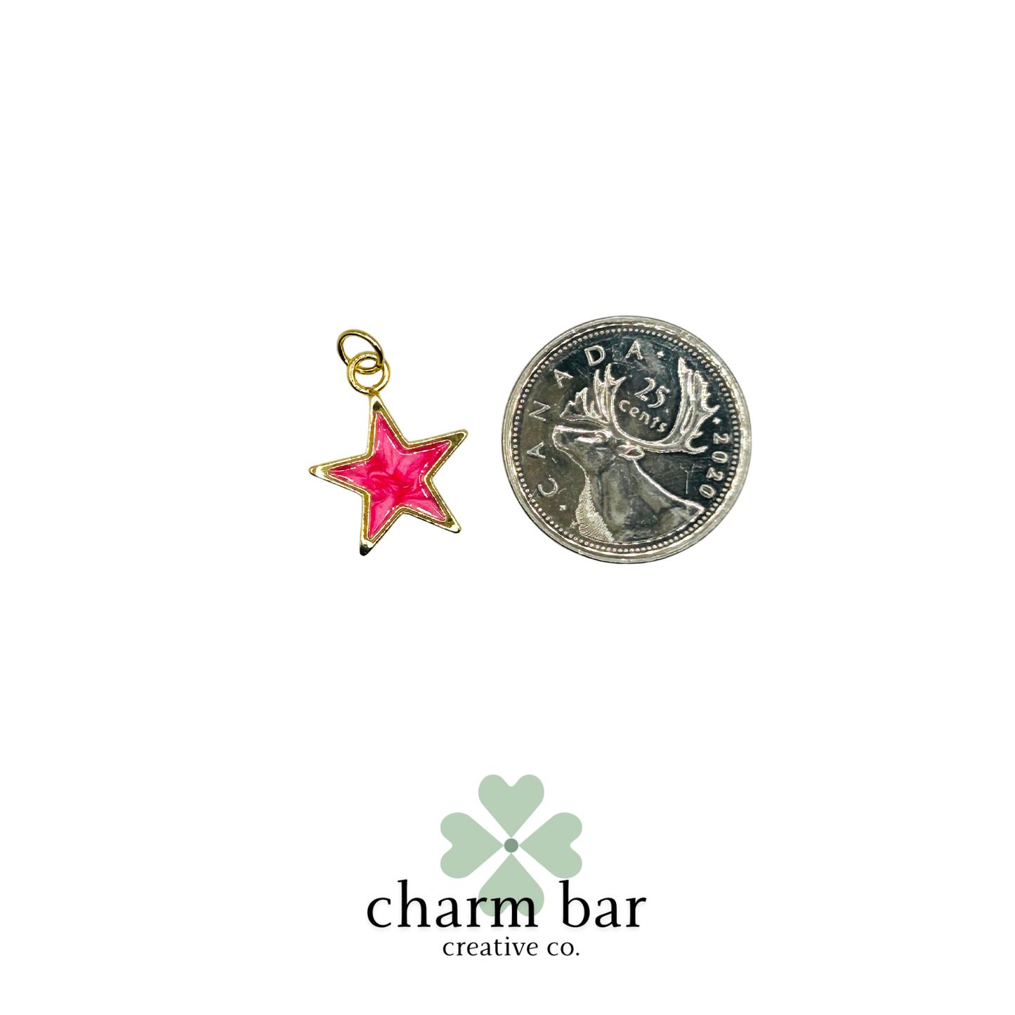 the Charms: Pink Resin Star