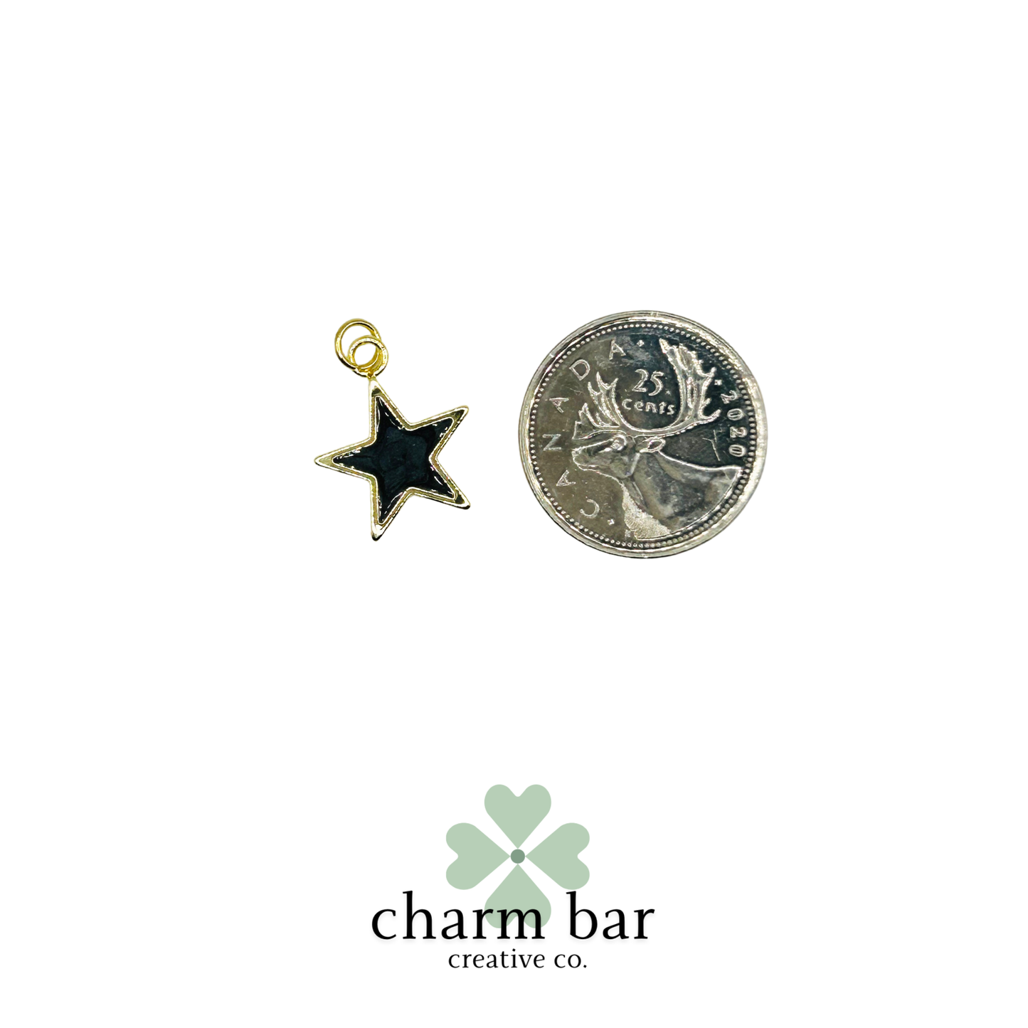 the Charms: Black Resin Star