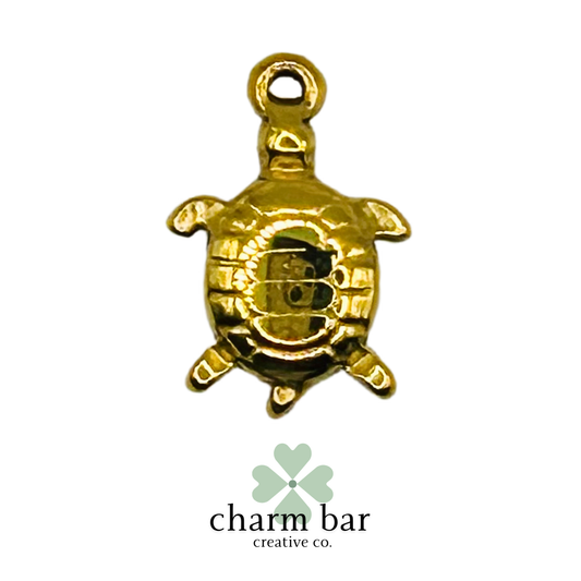 the Charms: Turtle