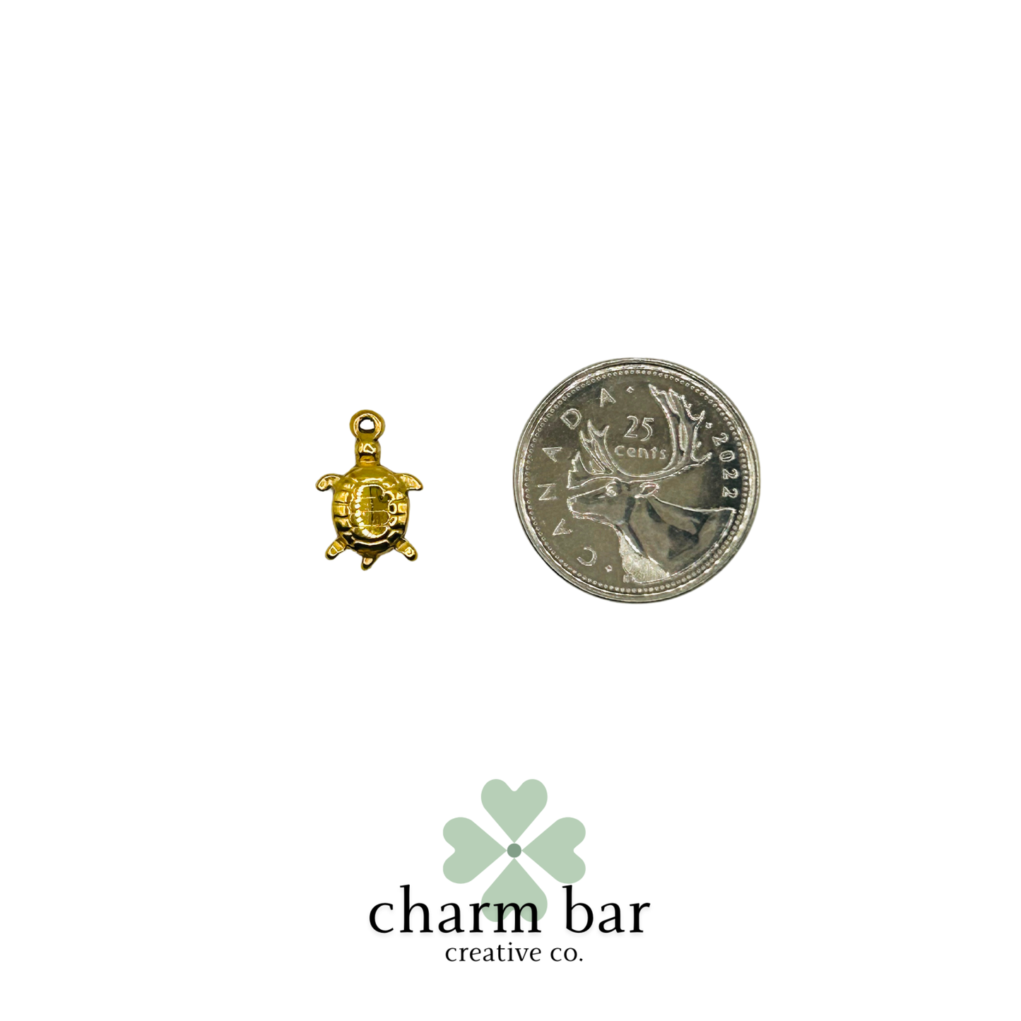 the Charms: Turtle