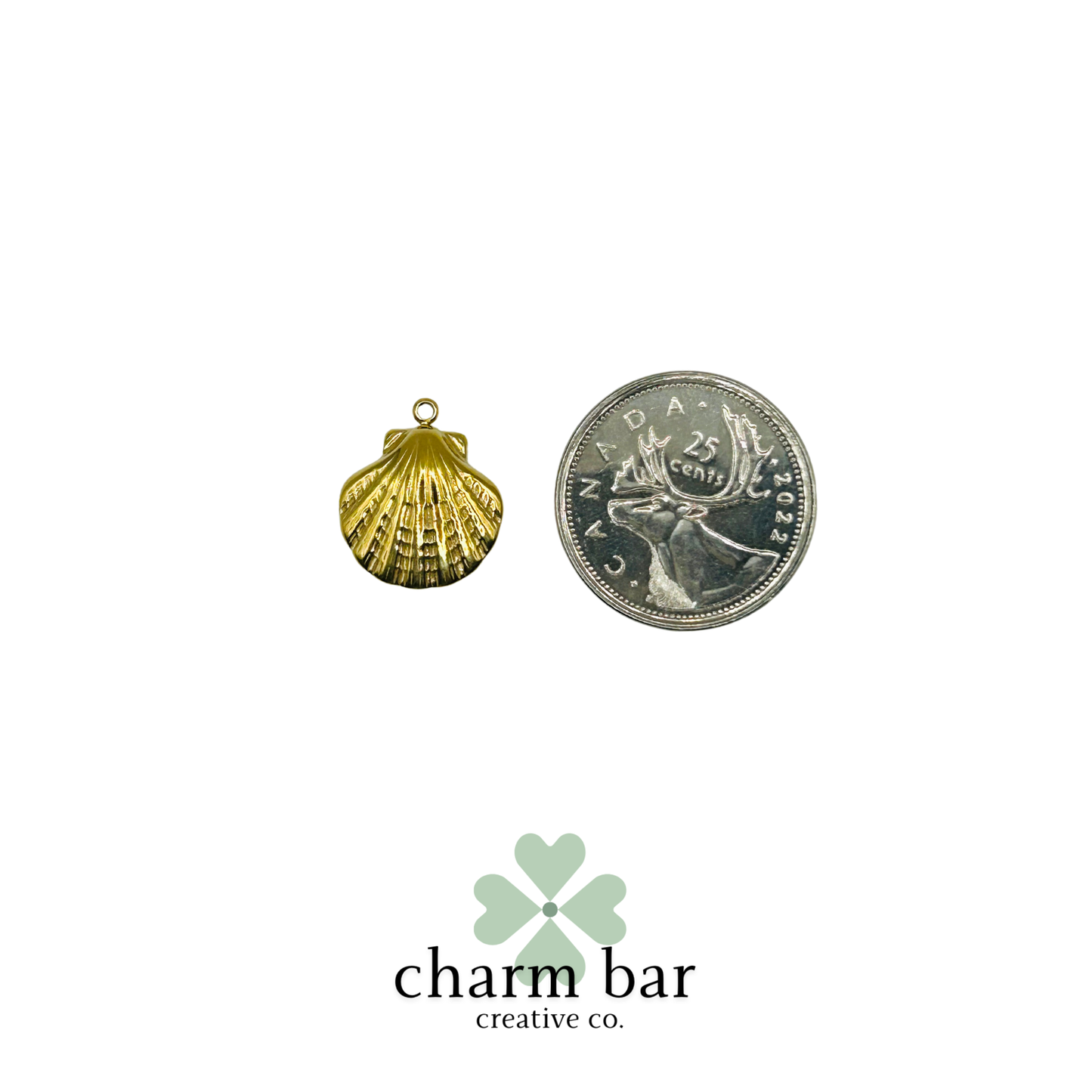 the Charms: Large Scallop Shell