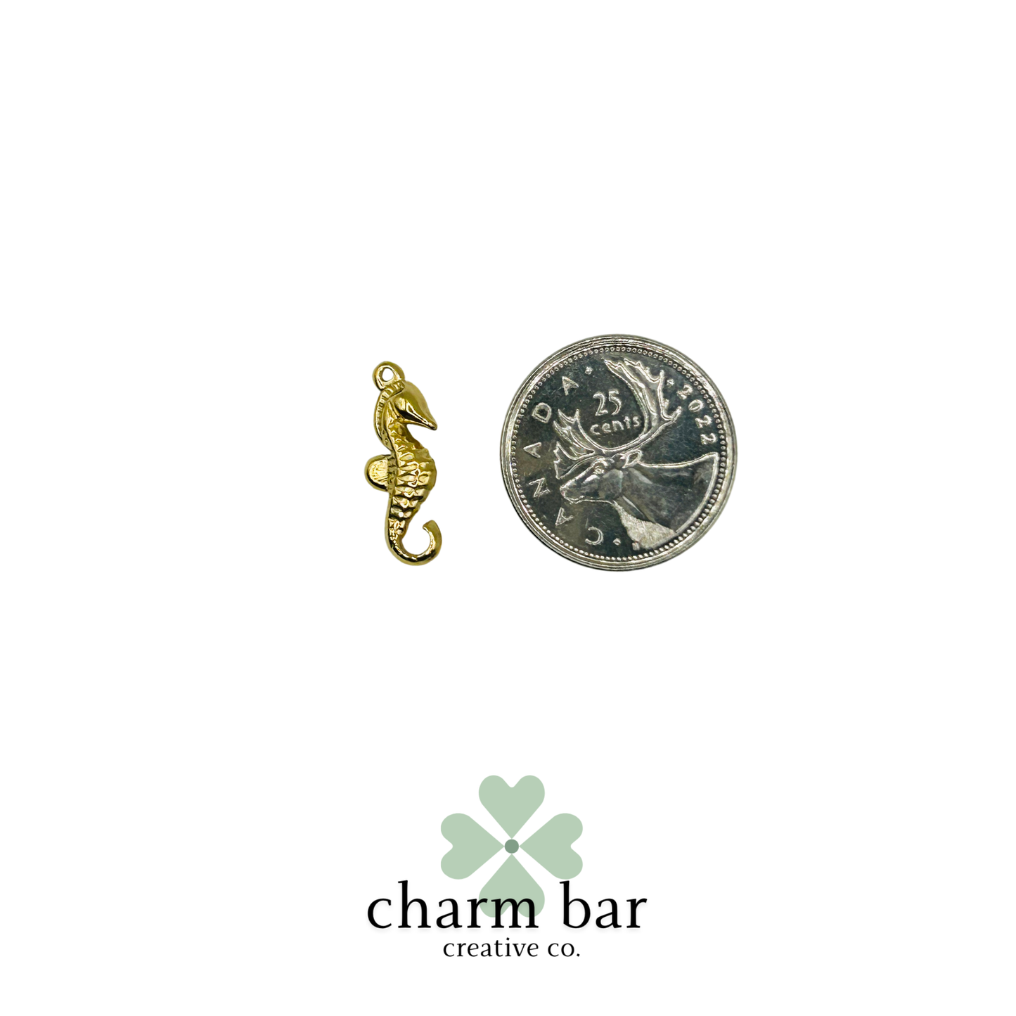 the Charms: Seahorse