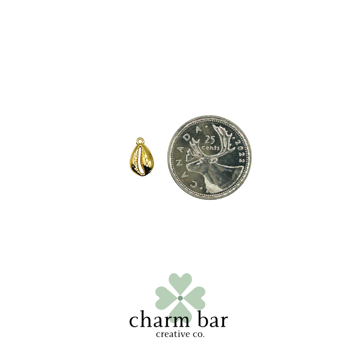 the Charms: Small Cowrie Shell